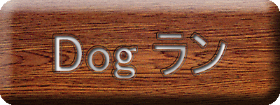 Dog ラン